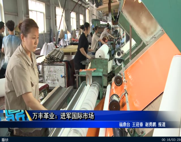 萬豐革業：進軍國際市場
