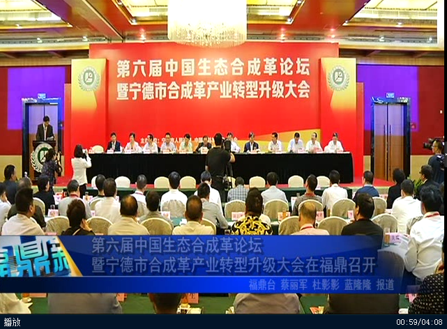 第六屆中國生態合成革論壇暨寧德市合成革產業轉型升級大會在福鼎召開