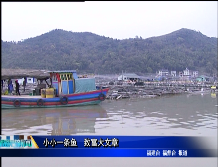 小小一條魚(yú) 致富大文章