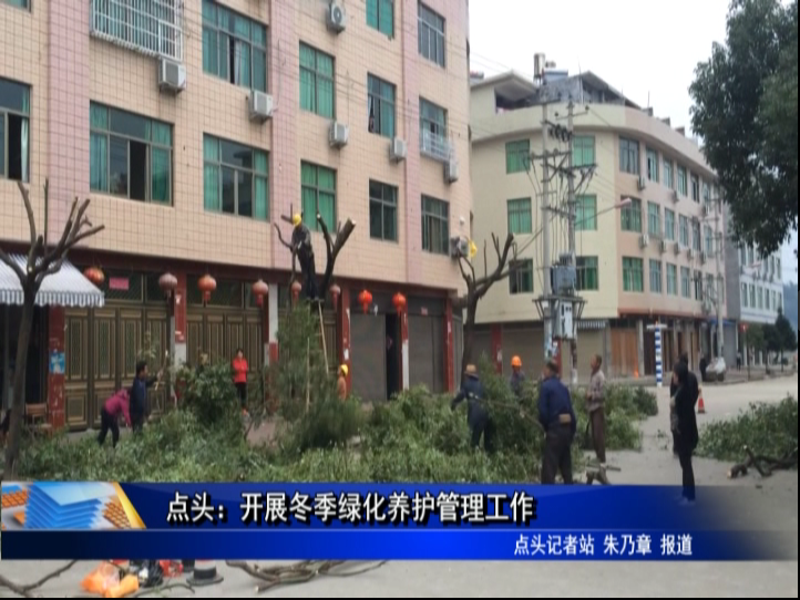 點頭：開展冬季綠化養(yǎng)護管理工作