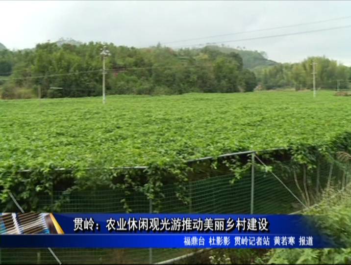 貫嶺：農(nóng)業(yè)休閑觀光游推動美麗鄉(xiāng)村建設
