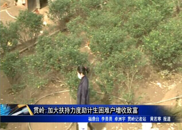 貫嶺:加大扶持力度助計生困難戶增收致富