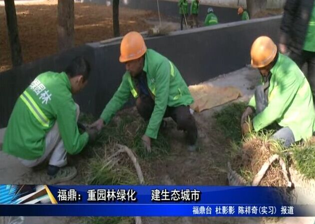 福鼎：重園林綠化 建生態城市