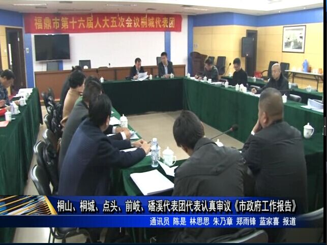 桐山、桐城、點頭、前岐、磻溪代表團代表認真審議《政府工作報告》