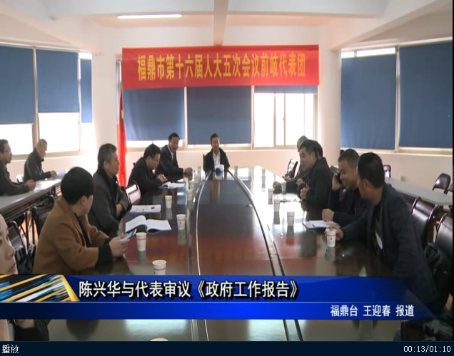 陳興華與代表審議《政府工作報告》