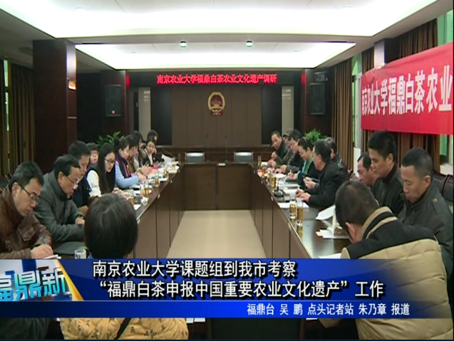 南京農(nóng)業(yè)大學(xué)課題組到我市考察“福鼎白茶申報中國重要農(nóng)業(yè)文化遺產(chǎn)”工作