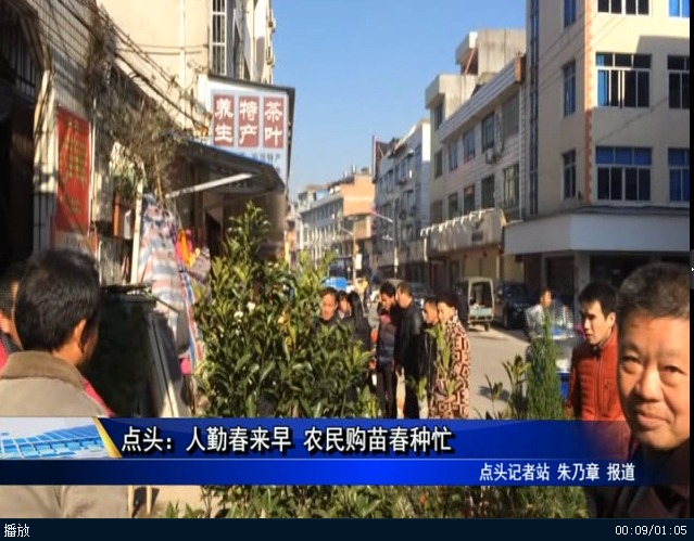 點頭：人勤春來早 農民購苗春種忙