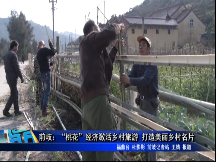 前岐：“桃花”經濟激活鄉村旅游 打造美麗鄉村名片
