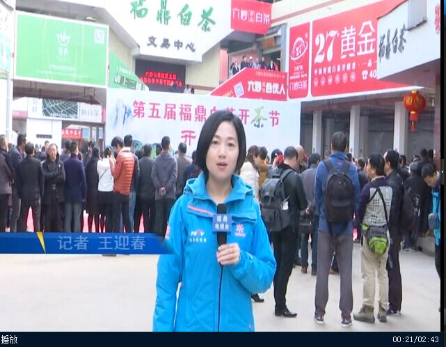 白茶飄香 一葉傾城 第五屆福鼎白茶開茶節在點頭開幕