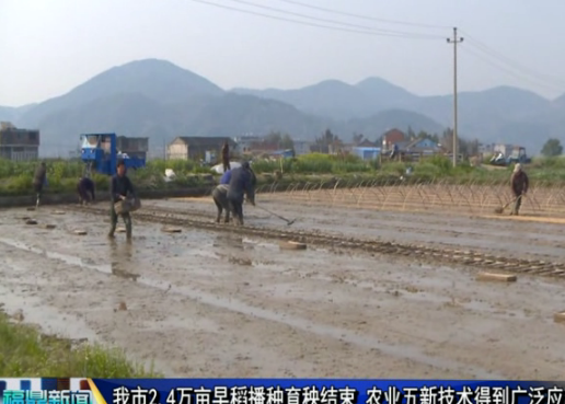 我市2.4萬畝早稻播種育秧結束 農業五新技術得到廣泛應用