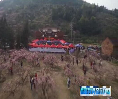 第四屆農旅文化節暨第三屆前岐桃花節 帶熱鄉村旅游