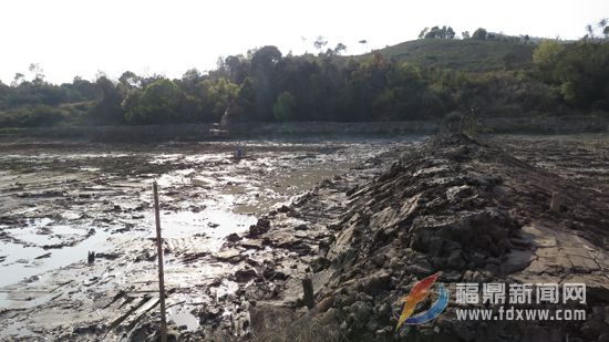 大型挖掘機(jī)械在清理池塘淤泥.JPG