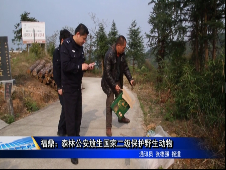 福鼎：森林公安放生國家二級保護野生動物放歸自然