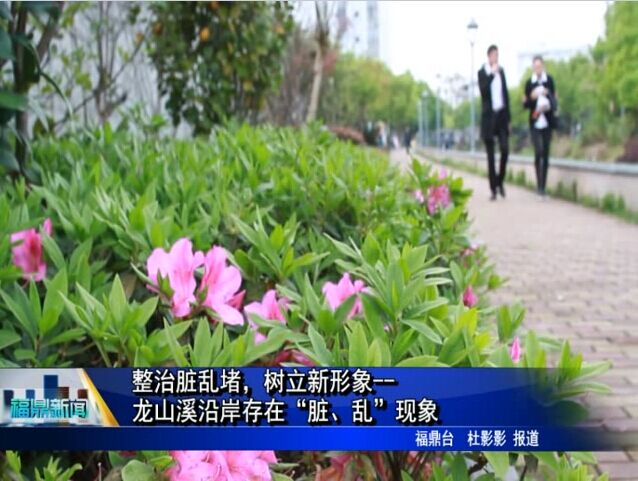《整治臟亂堵，樹立新形象》專欄：龍山溪沿岸存在“臟、亂”現象