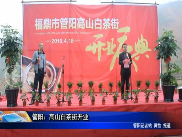 管陽：高山白茶街開業