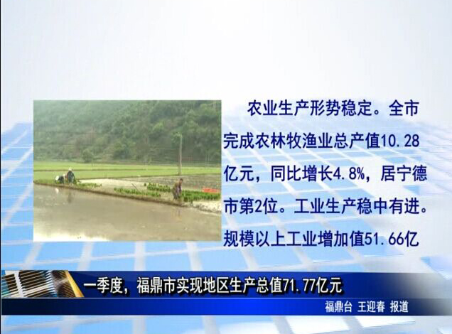 一季度，福鼎市實現地區生產總值71.77億元