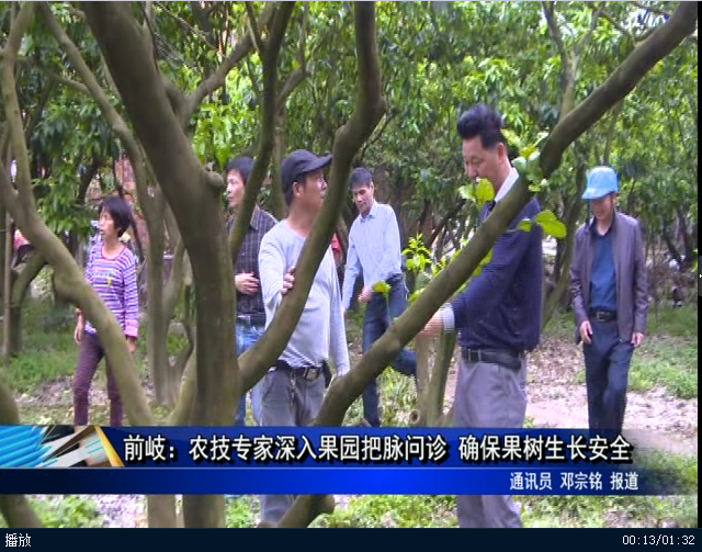 前岐：農技專家深入果園把脈問診 確保果樹生長安全