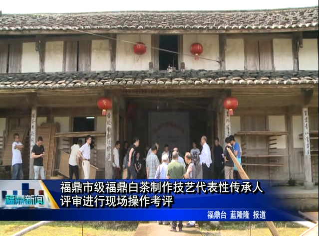 福鼎市級福鼎白茶制作技藝代表性傳承人評審進行現場操作考評