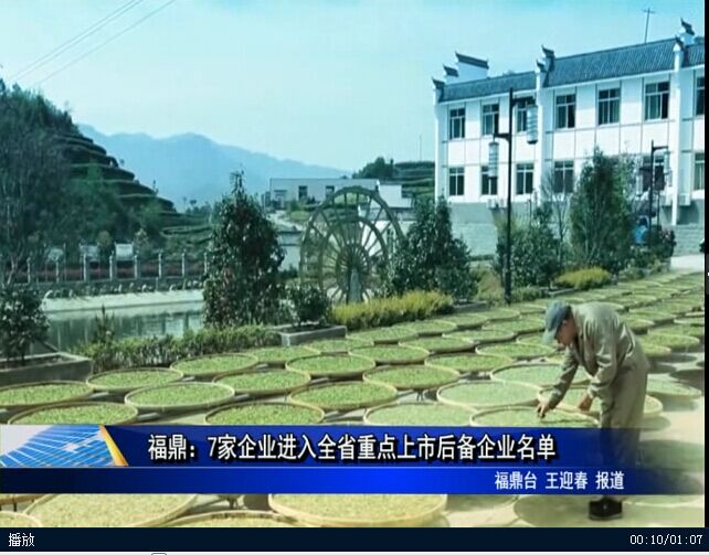 福鼎：7家企業進入全省重點上市后備企業名單