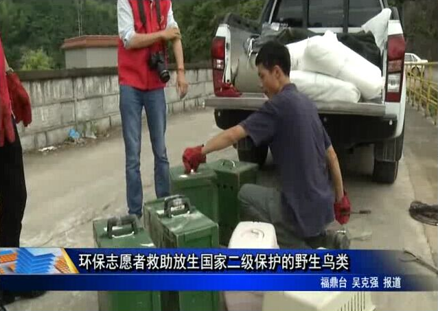 環保志愿者救助放生國家二級保護的野生鳥類