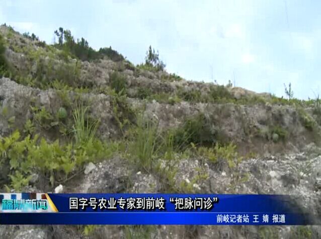 國字號農業專家到前岐“把脈問診”