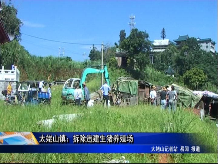 太姥山鎮：拆除違建生豬養殖場