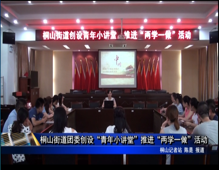 桐山街道團委創(chuàng)設“青年小講堂”推進“兩學一做”活動