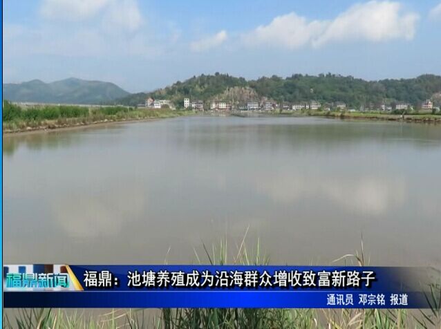 福鼎：池塘養殖成為沿海群眾增收致富新路子