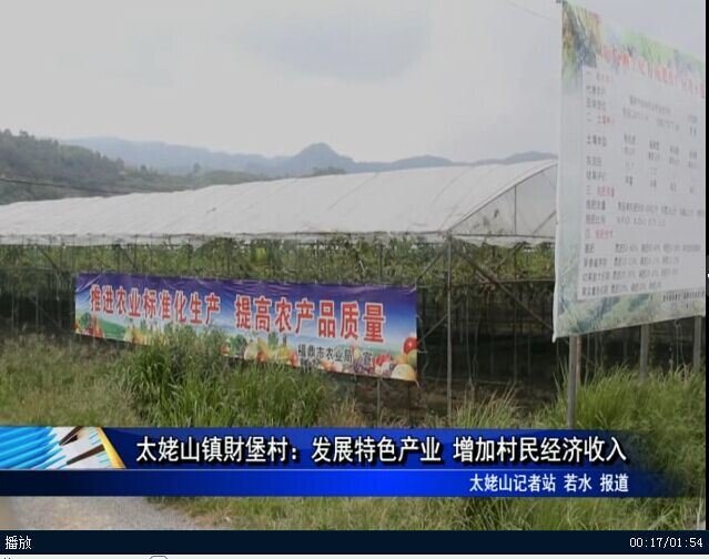 太姥山鎮財堡村：發展特色產業 增加村民經濟收入