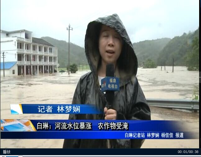 白琳：河流水位暴漲 農作物受淹