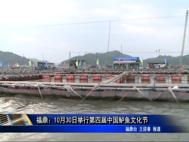 福鼎：10月30日舉行第四屆中國鱸魚文化節