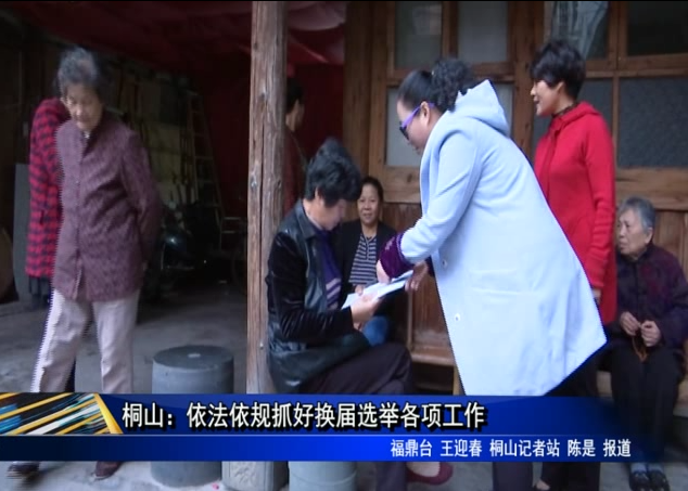 桐山：依法依規抓好換屆選舉各項工作