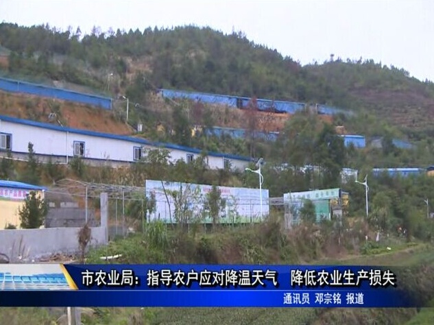 市農業局：指導農戶應對降溫天氣 降低農業生產損失