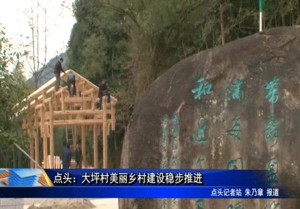 點頭：大坪村美麗鄉村建設穩步推進