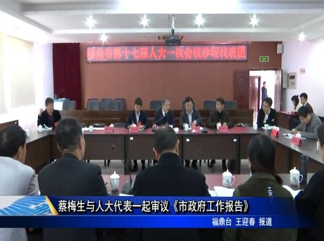 蔡梅生與人大代表一起審議《市政府工作報告》