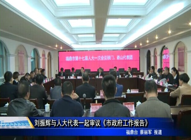劉振輝與人大代表一起審議《市政府工作報告》