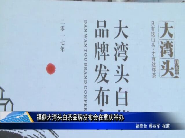 福鼎大灣頭白茶品牌發布會在重慶舉辦