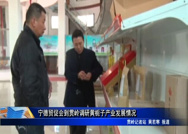 寧德貿促會到貫嶺調研黃梔子產業發展情況