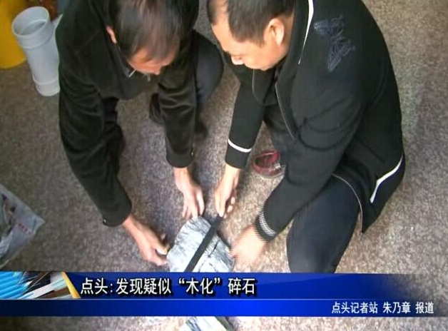 點頭:發現疑似“木化”碎石
