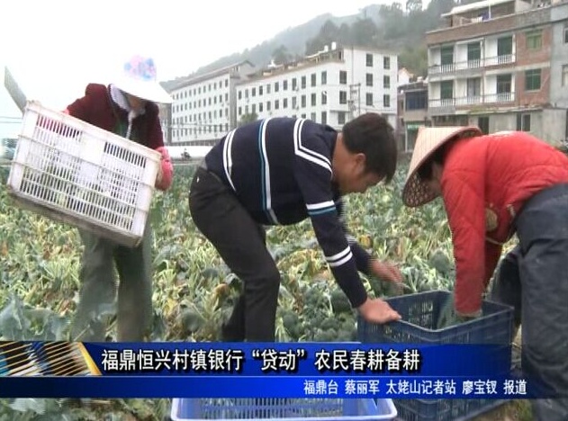 福鼎恒興村鎮銀行“貸動”農民春耕備耕