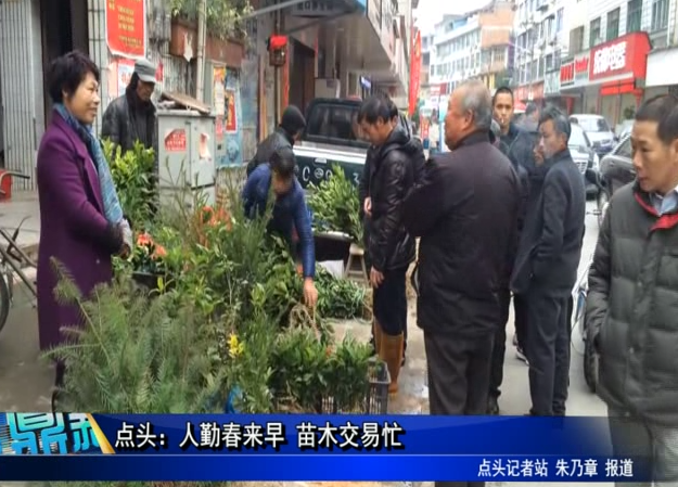 點頭：人勤春來早 苗木交易忙
