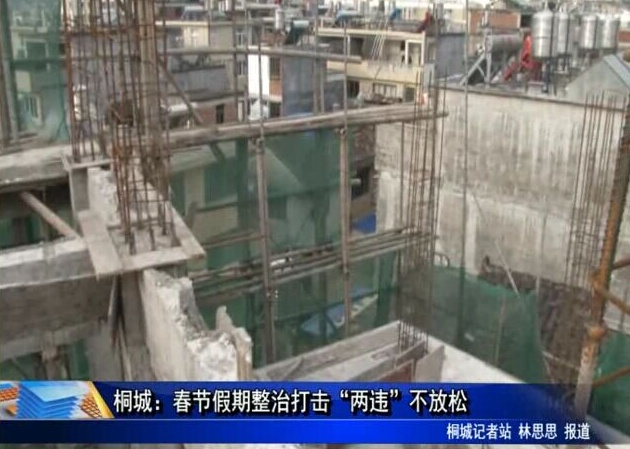 桐城：春節假期整治打擊“兩違”不放松