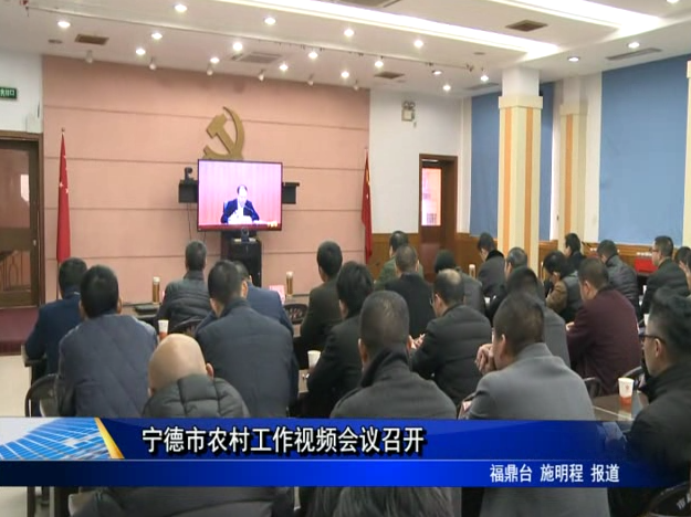 寧德市農村工作視頻會議召開
