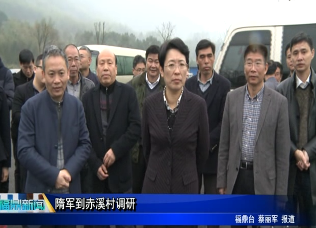 隋軍到赤溪村調研