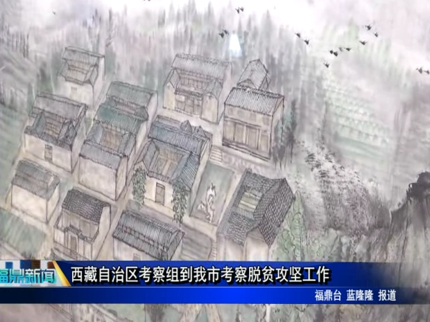西藏自治區考察組到我市考察脫貧攻堅工作