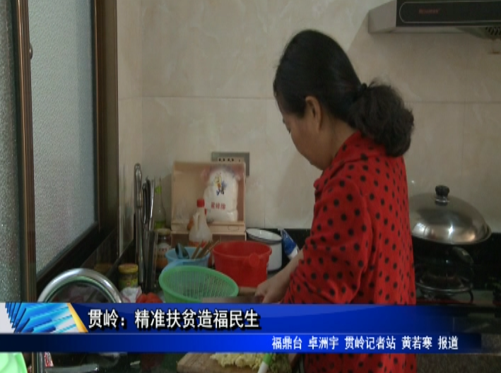 貫嶺：精準扶貧造福民生