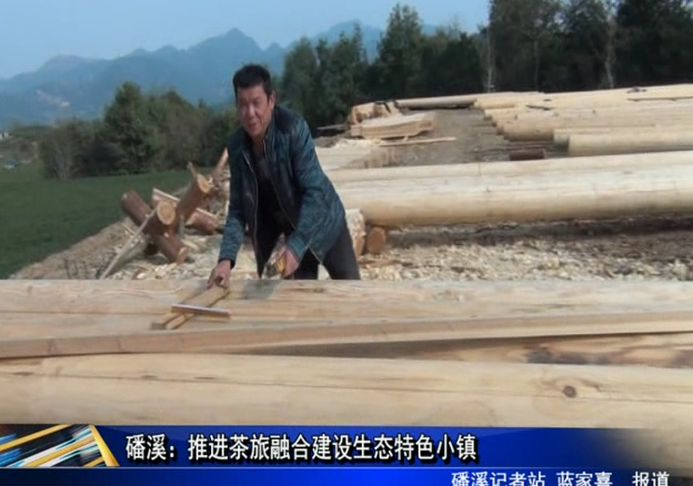 磻溪：推進茶旅融合建設生態特色小鎮