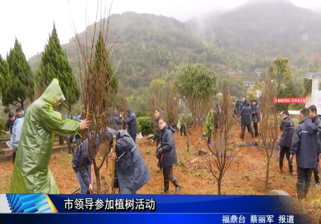 市領導參加植樹活動
