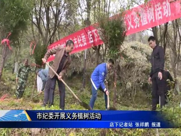 市紀委開展義務植樹活動