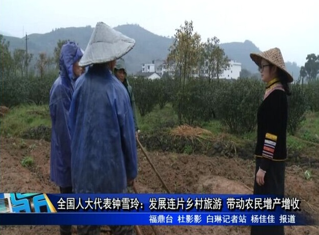 全國人大代表鐘雪玲：發(fā)展連片鄉(xiāng)村旅游 帶動農(nóng)民增產(chǎn)增收